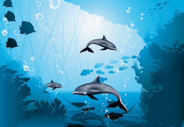 dolphin-in-sea