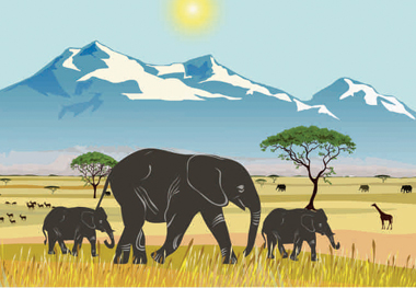 elephants